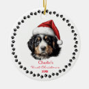 Suche nach berner ornamente Santa