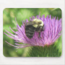 Suche nach biene mousepads Fehler