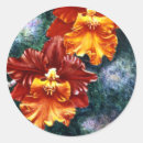 Suche nach orchidee aufkleber Aquarell