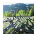 Suche nach verwittert fliesen Holz