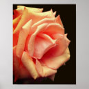 Suche nach abdrücke poster Blume