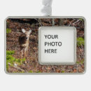 Suche nach hirsche ornamente Wälder