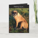 Suche nach großes lächeln karten Freundin