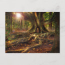 Suche nach magical postkarten Forest