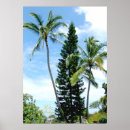 Suche nach insel von hawaii poster Palmen