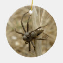 Suche nach spinnen ornamente Arachnien