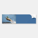 Suche nach enten autoaufkleber Vogel