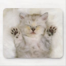 Suche nach weißes kätzchen mousepads Süße tiere