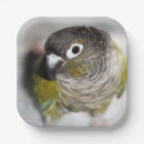 Suche nach papagei teller Haustier