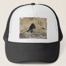 Suche nach vogel kappen Tier