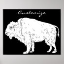 Suche nach weißer bison poster Gelbstein