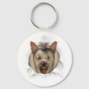 Suche nach yorkshire schlüsselanhänger Yorkie