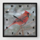 Suche nach cardinal poster Red