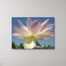 Suche nach lotus leinwandbilder Fotografie