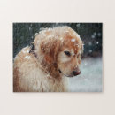 Suche nach golden retriever puzzle Haustier