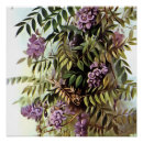 Suche nach botanische malerei poster Frühlingsblumen