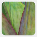 Suche nach lebensraum aufkleber Grün