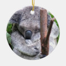 Suche nach koalabär ornamente Australisch