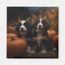 Suche nach berner sennenhund andere magnete Welpe