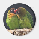 Suche nach lovebirds magnete Liebe