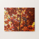Suche nach ahornbaum puzzle Japanischer ahorn