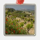 Suche nach weinberg ornamente Rebe