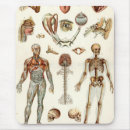 Suche nach menschliche anatomie mousepads Biologie
