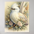 Suche nach vogeldruck poster Ornithologie
