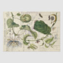 Suche nach passionflower Botanisch