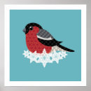 Suche nach weihnachtsvogel poster Winter