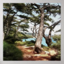 Suche nach pinus Grün