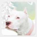 Suche nach pitbull aufkleber Tyrann