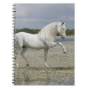 Suche nach reiter notizbuch Fantasie
