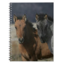 Suche nach mustang kleine notizbücher Reiter