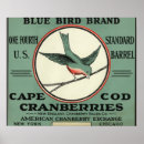 Suche nach cape cod poster Massachusetts