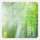 Suche nach sonnenlicht aufkleber Landschaft