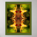 Suche nach insekt poster Blume