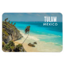 Suche nach paradies magnete Palmen