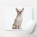 Suche nach lustige chihuahua mousepads Welpe