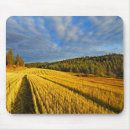 Suche nach amerikanische scheune mousepads Western