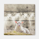 Suche nach lamm magnete Vintage
