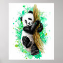 Suche nach panda bear poster Bären