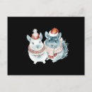 Suche nach chinchilla postkarten Aquarell