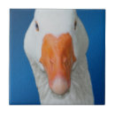 Suche nach geflügel fliesen Niedlich