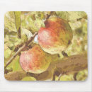 Suche nach rote früchte mousepads Obst