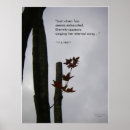 Suche nach lieder poster Natur