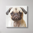 Suche nach niedlicher mops leinwandbilder Haustier