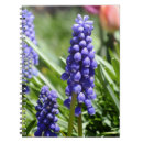 Suche nach glocke kleine notizbücher Blume
