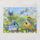 Suche nach birdhouse postkarten Bunt
