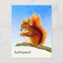 Suche nach rotes eichhörnchen postkarten Wildtiere